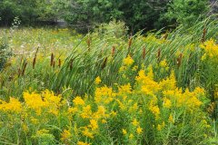 U.P.-Michigan-2