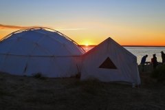 Whale-camp-1