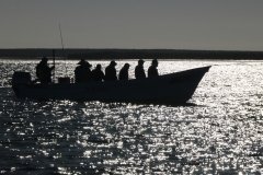 Whale-panga-1