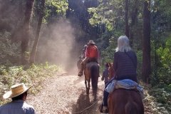 Cerro-Pelon-getting-there-1