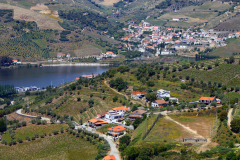 P1010341
