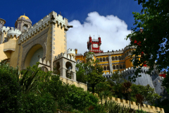 P1010446