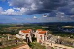 P1010554