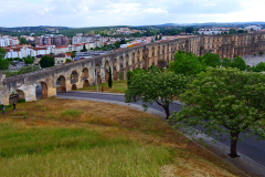 P1010561