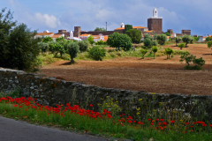 P1010569