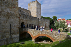 P1010624