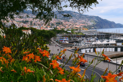 Madeira-1