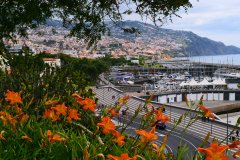 Madeira-1